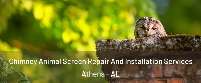 Chimney Animal Screen Repair And Installation Services Athens - AL