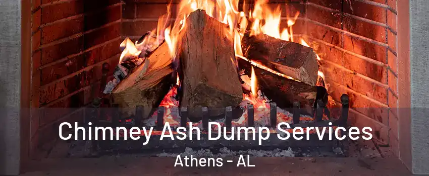  Chimney Ash Dump Services Athens - AL