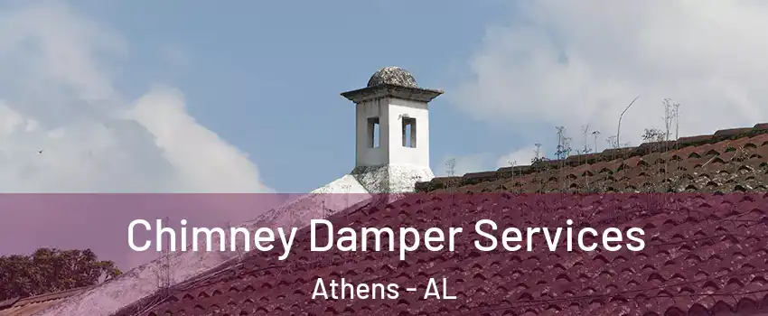  Chimney Damper Services Athens - AL