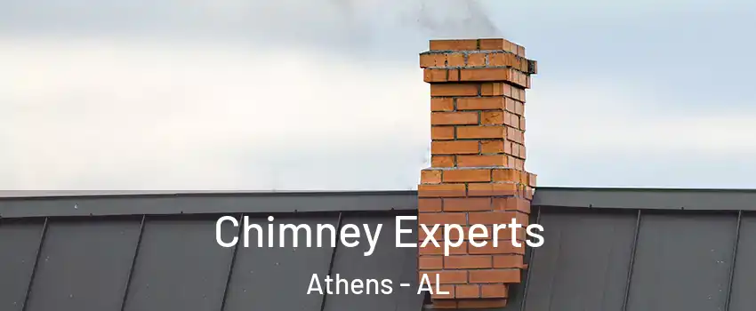  Chimney Experts Athens - AL
