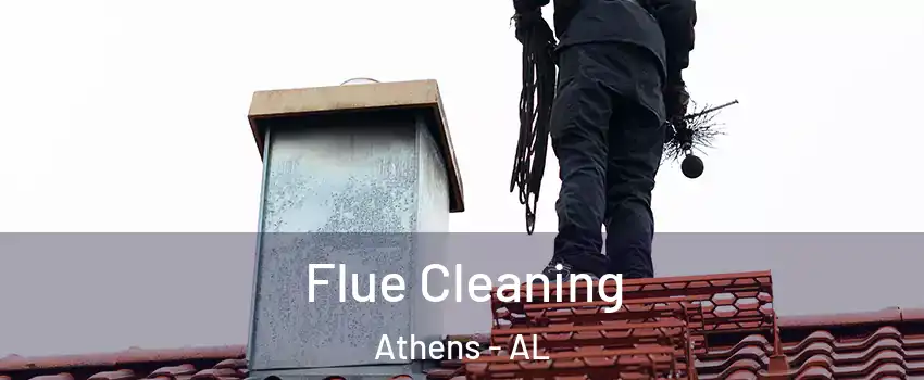  Flue Cleaning Athens - AL