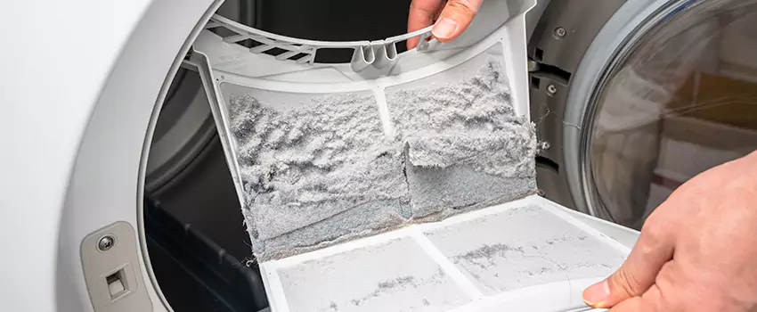 Best Dryer Lint Removal Company in Athens, Alabama