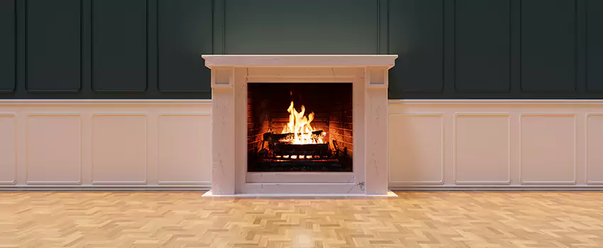 Napoleon Electric Fireplaces Inspection Service in Athens, Alabama