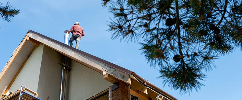 Birds Removal Contractors from Chimney in Athens, AL