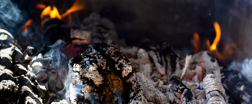Creosote Removal Experts in Athens, AL